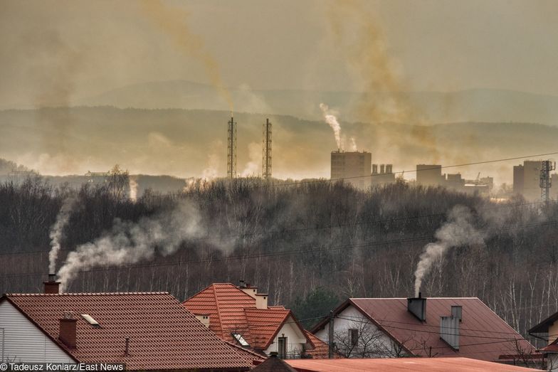 Według Światowej Organizacji Zdrowia 16 z 20 najbardziej zanieczyszczonych miast w UE znajduje się w Polsce.