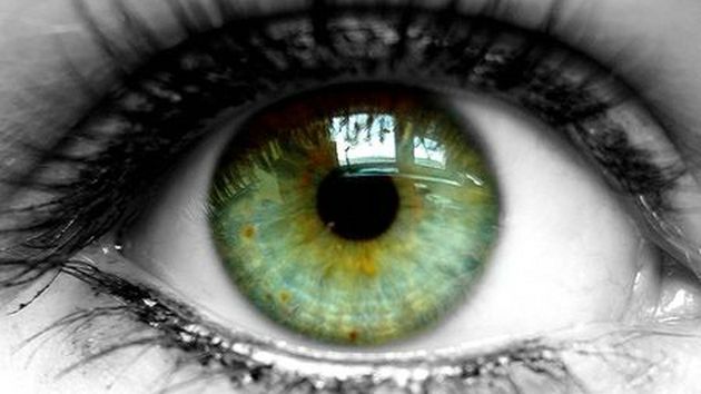 Telefon sterowany wzrokiem 1