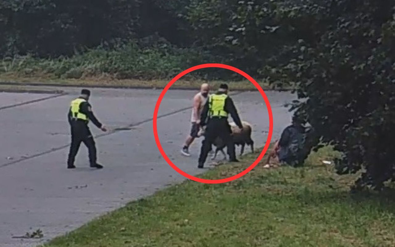 Wyszła na ulicę. Strażnicy musieli reagować. Sceny w Bogatyni