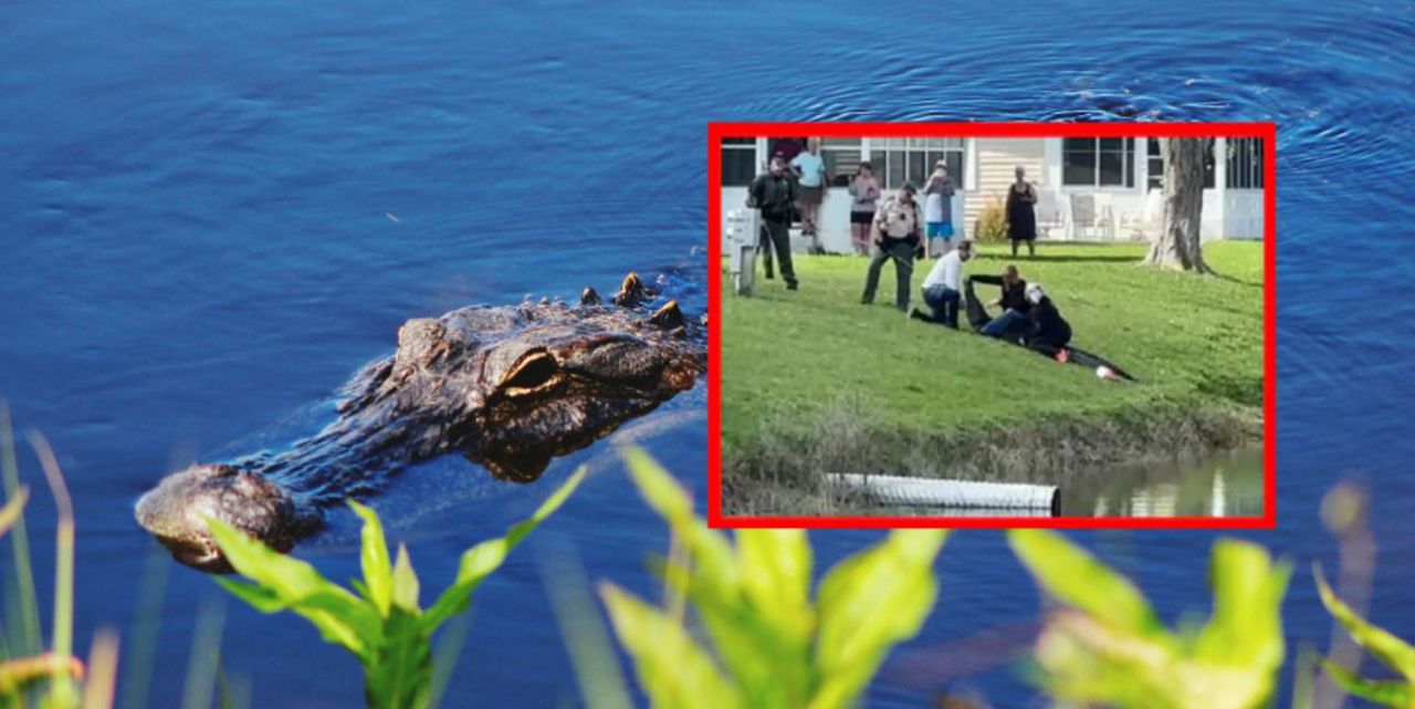 Szokująca śmierć na spacerze z psem. Zabił ją aligator