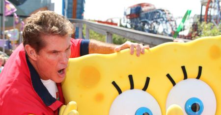 David Hasselhoff: "Jestem przeciwko Viagrze!"