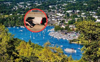 "Zachowanie antyspołeczne". Malownicze miasteczko walczy z plagą