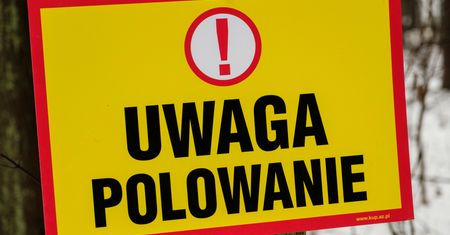 Skandal na polowaniu, myśliwy zabił zwierzę pod ochroną. Sprawę bada policja