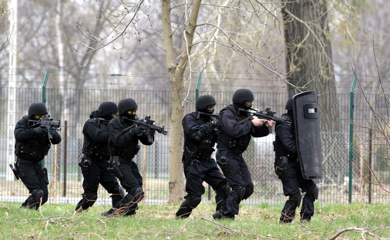 CBŚP: gang złodziei samochodów rozbity. Szef grupy ukrywał się na wyspie w pobliżu Iławy