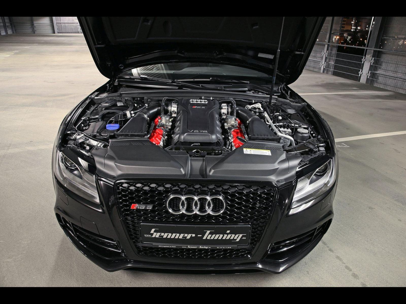 Senner RS5 fot.24