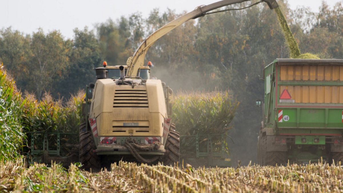 Zdjęcie ilustracyjne.