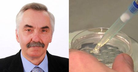 Radny PiS: "Dzieci z in vitro są jak truskawki bez smaku"