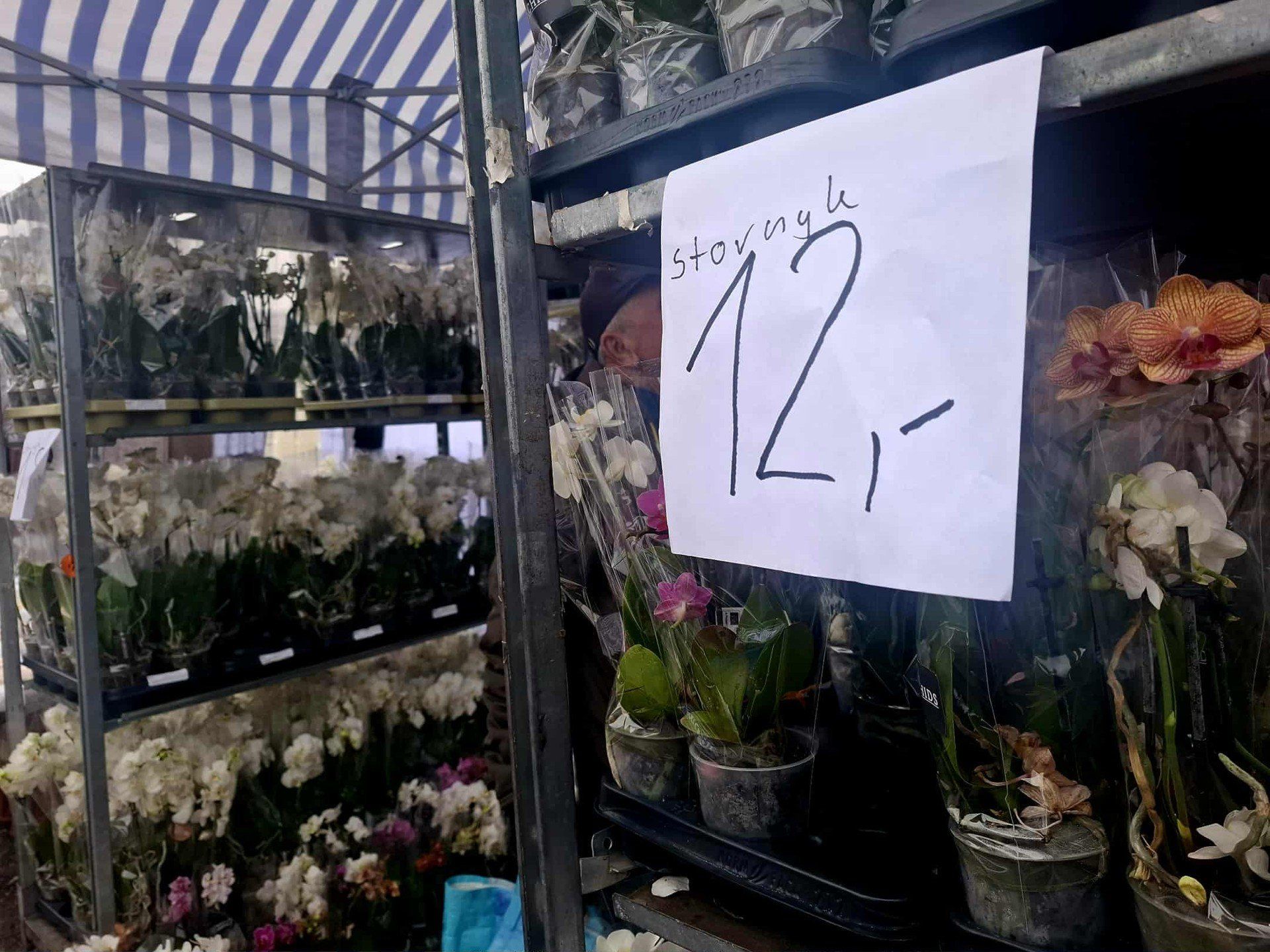 Oto, co można kupić na autogiełdzie przy ul. Puszkina