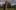 Hogwarts Legacy – premiera na PlayStation 4 i Xbox One opóźniona