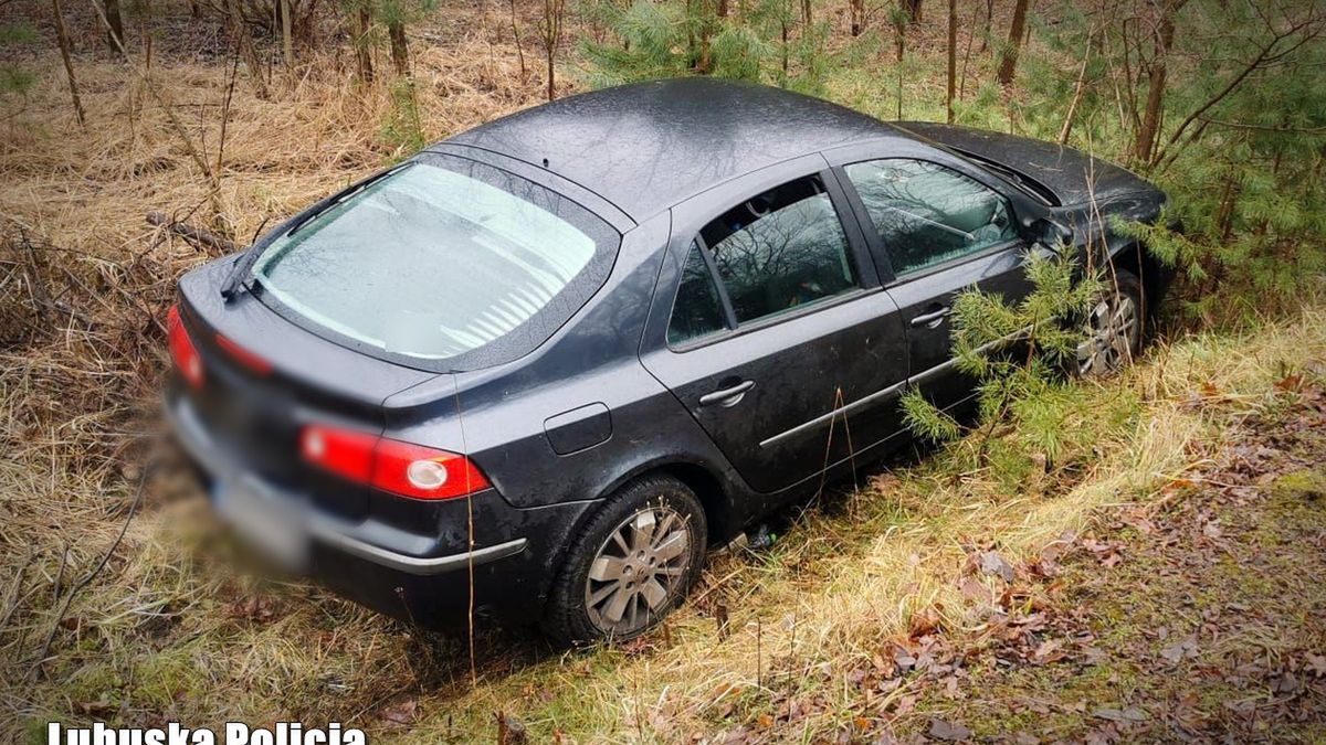Takim samochodem kierował nastolatek, którego rodzice teraz osiwieją
