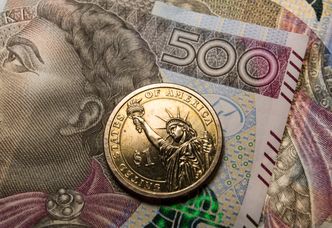 Kolejne wahania złotego, nagły wzrost kursu dolara. Co się stało?