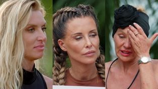 Test wiedzy w "Królowej przetrwania": podolog bada odbyt, "Odyseję" napisał Odyseusz, a powstanie warszawskie wybuchło we wrześniu