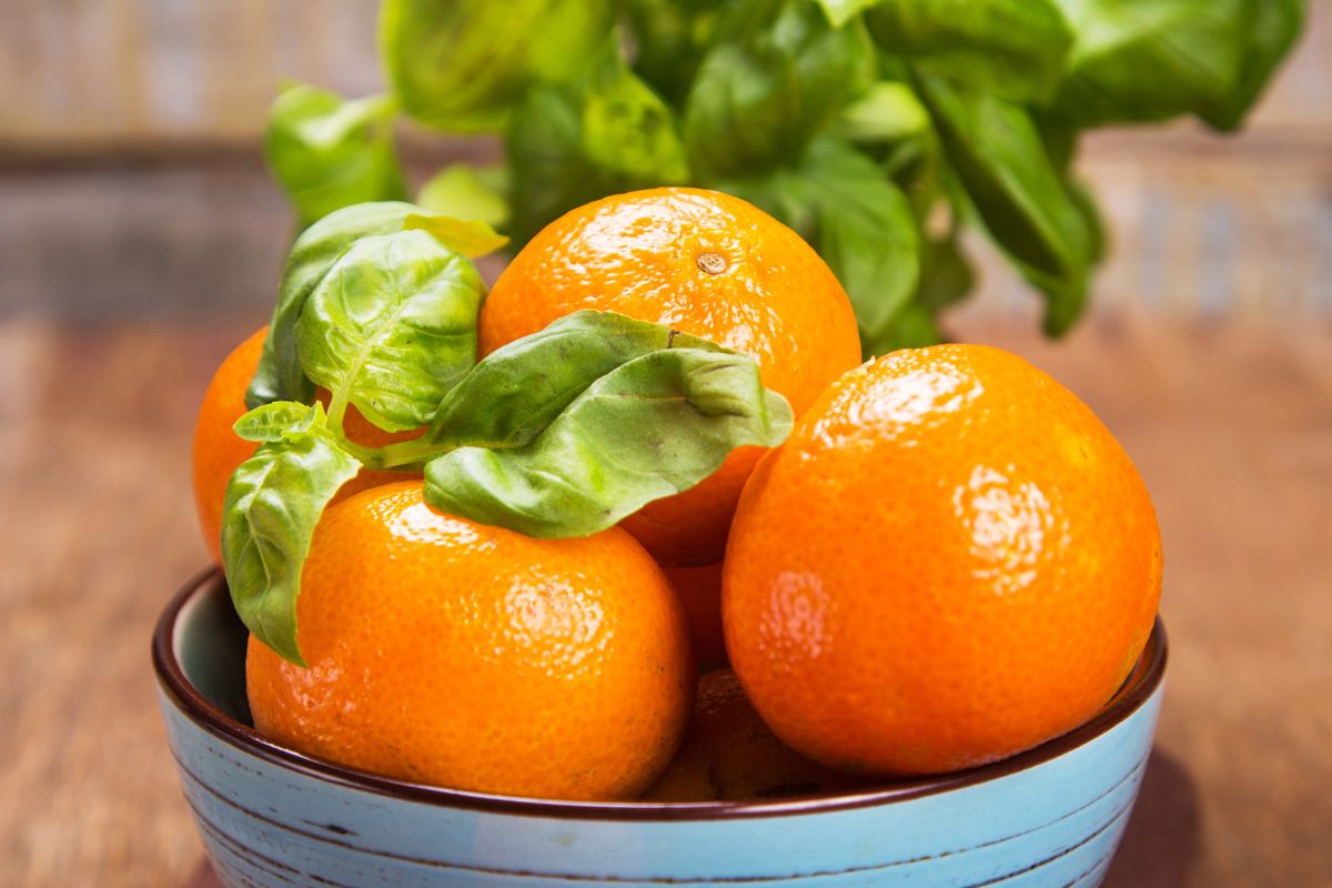 Miksuję skórki pomarańczowe z bazylią. Sprawdzi się nie tylko w kuchni