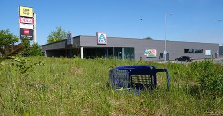 Wycięli w pień dziki zagajnik, bo zasłaniał nowy sklep. W tym miejscu Aldi ma utworzyć zielony skwer