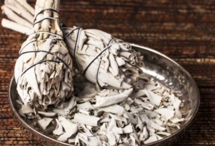 Biała szałwia - poznaj właściwości tej rośliny (WIDEO)