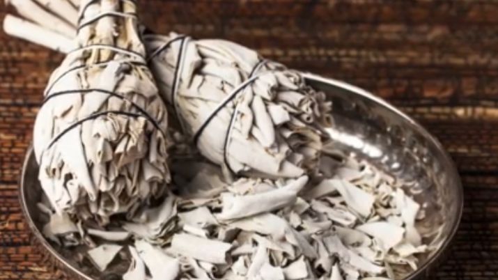 Szałwia biała posiada cudowne oczyszczające właściwości 