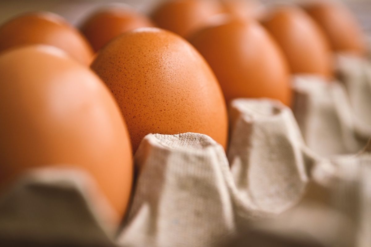 Brązowe jajka zostaną nie będą dostępne w sprzedaży?