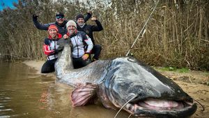 Nowy rekord świata! Niesamowite osiągnięcie polskich wędkarzy