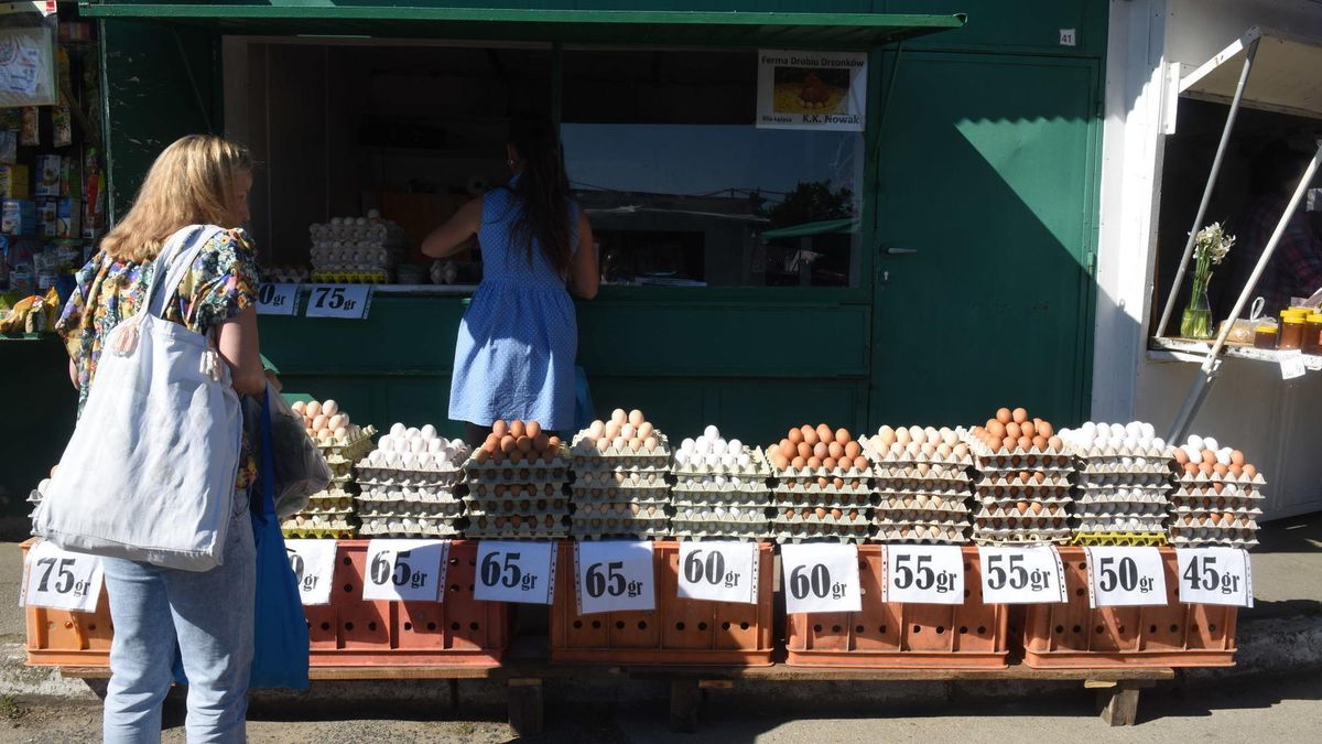 Na mleko, chleb i dwa jajka Szwajcarzy i Niemcy wydają 3 proc. pensji