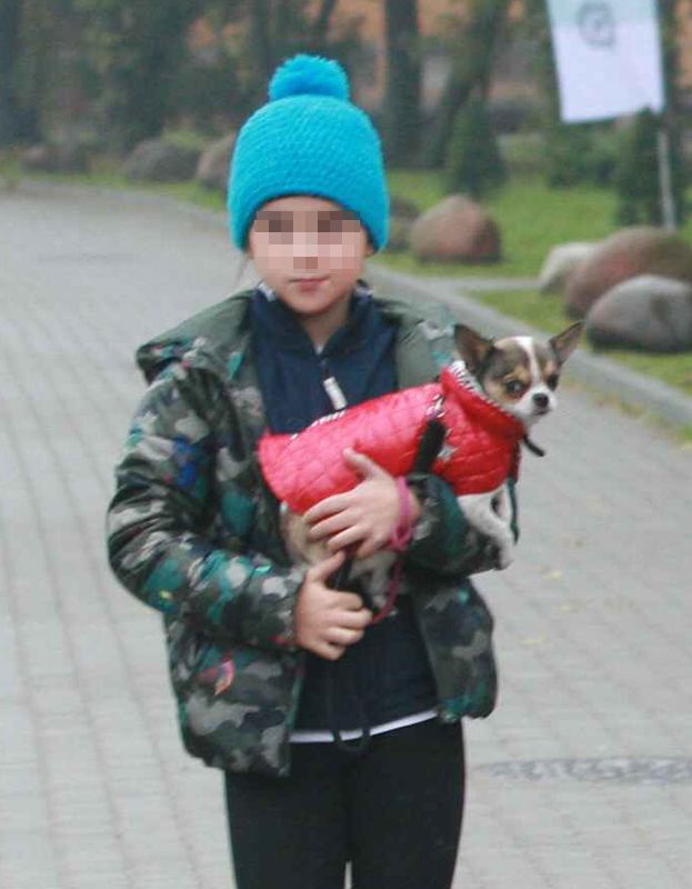 Obraz