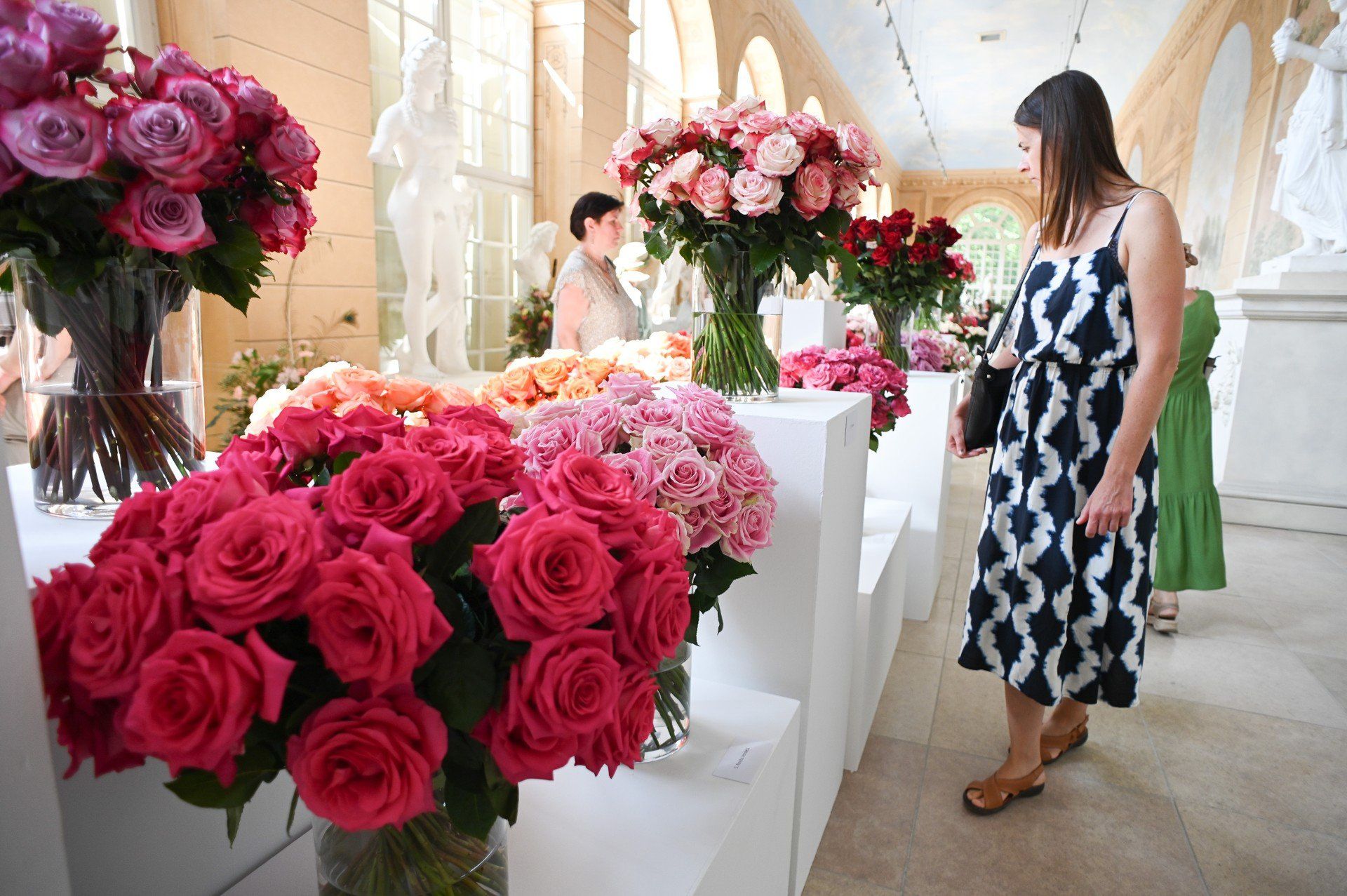 Royal Rose 2025 już wkrótce