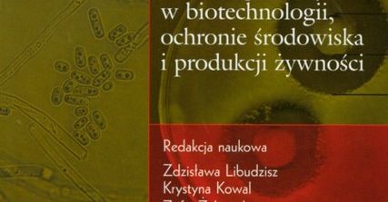 Idealne miejsce, aby zniknąć