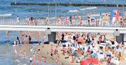 Ten przysmak króluje na polskich plażach. Trzeba jednak słono za niego zapłacić