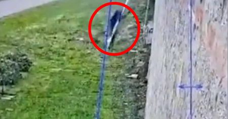 Trudno uwierzyć, jak uciekł z więzienia. Nagranie z włoskim mafioso hitem sieci