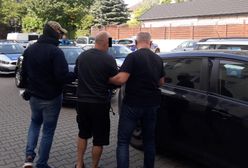 Piaseczno. Uratowali 50 kotów perskich. "Hodowca" poszukiwany listem gończym