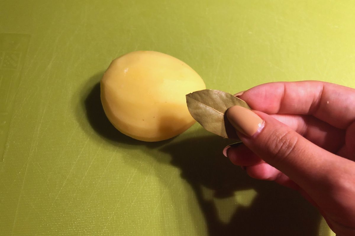 Jak się okazuje, warto upiec ziemniaki z liściem laurowym