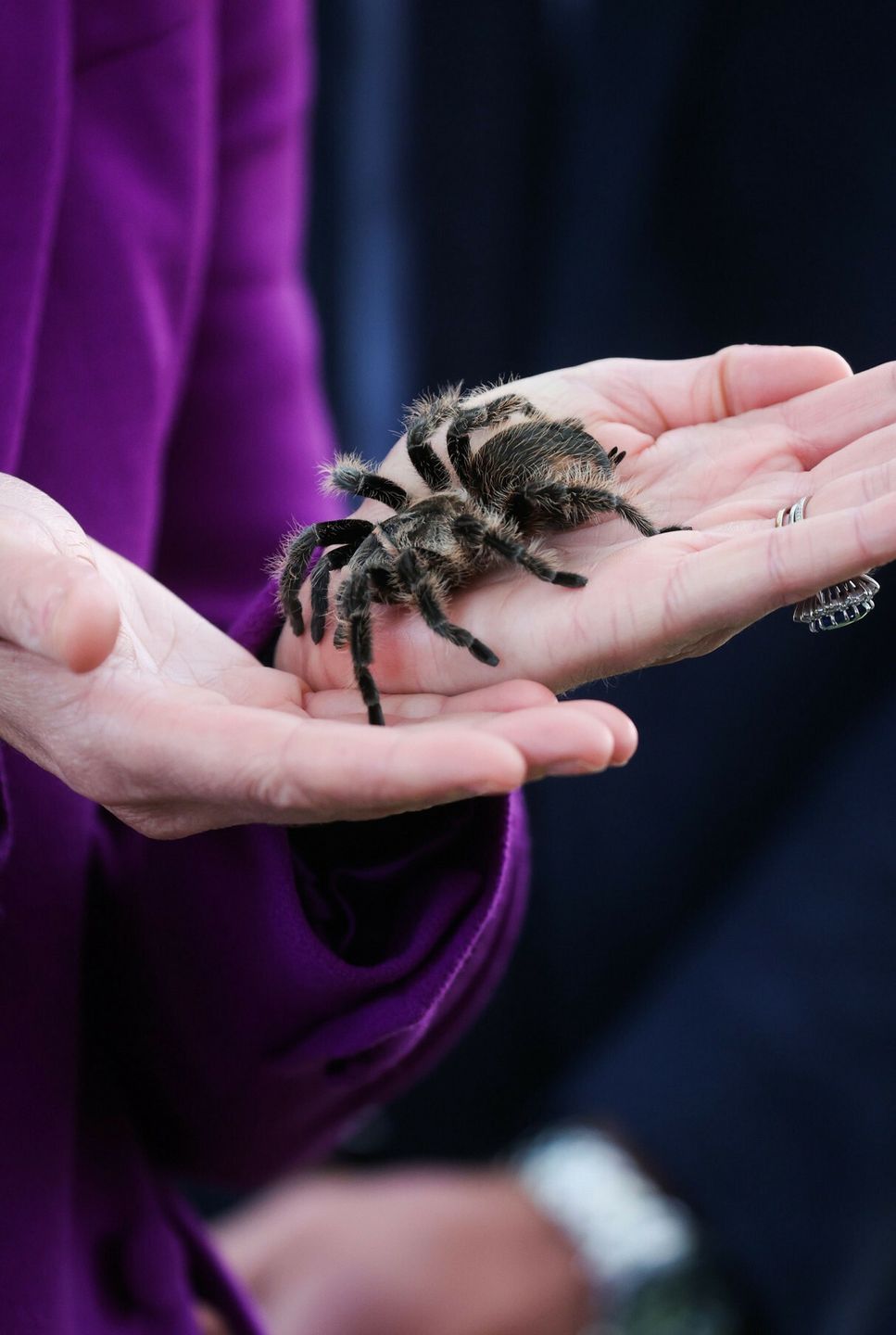 Księżna Kate trzymająca włochatą Charlotte