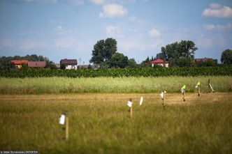 Budowa CPK, geodeci ruszyli w teren. Właściciele nie mogą odmówić im wejścia