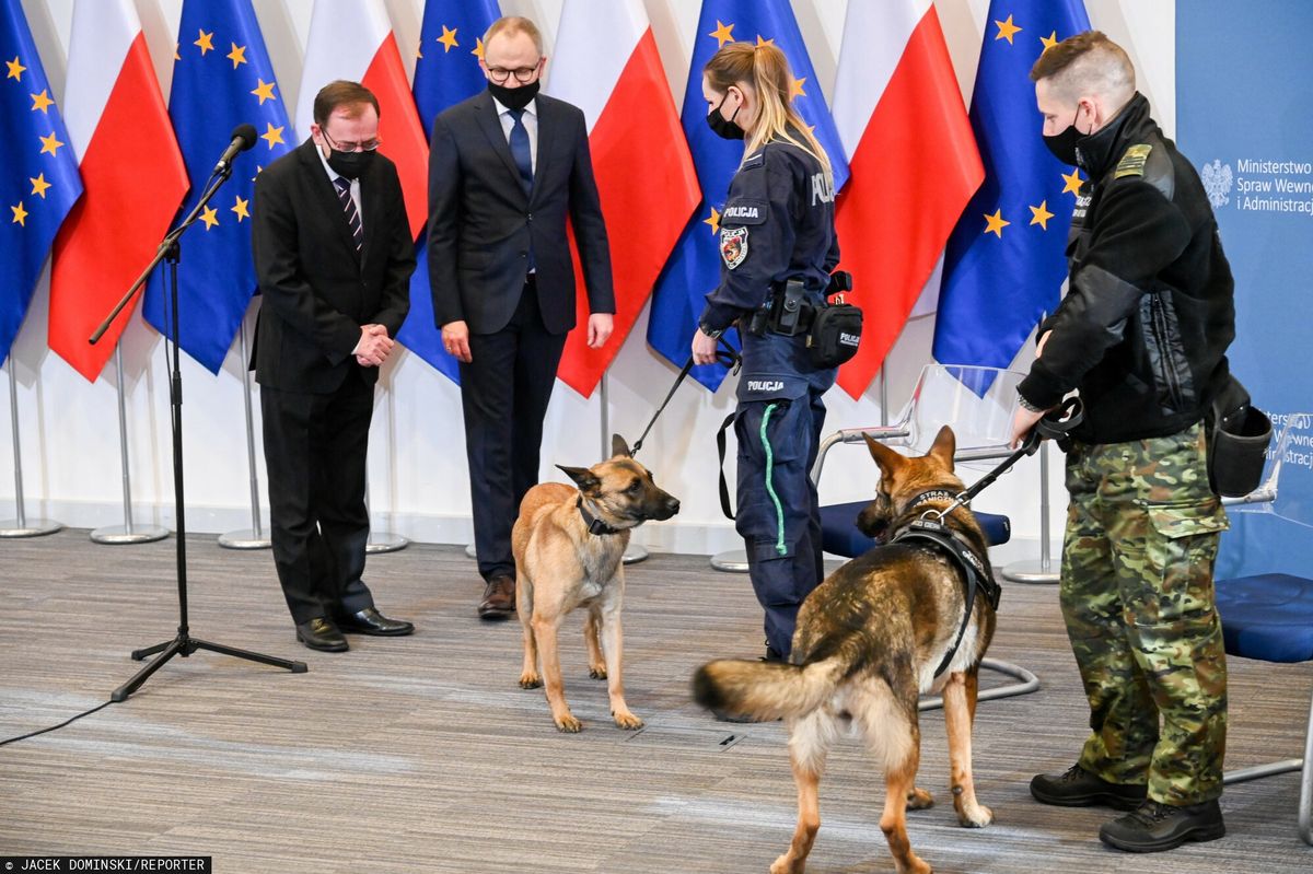 Opieka dla zwierząt w służbie. Projekt MSWiA zaakceptował Jarosław Kaczyński