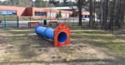 Leszno: Ktoś otruł psy na wybiegu