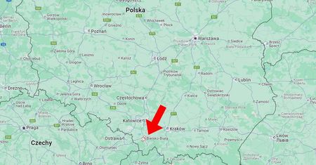 Pojawił się na Śląsku. Wchodzi do budynków i może przegryźć skórę