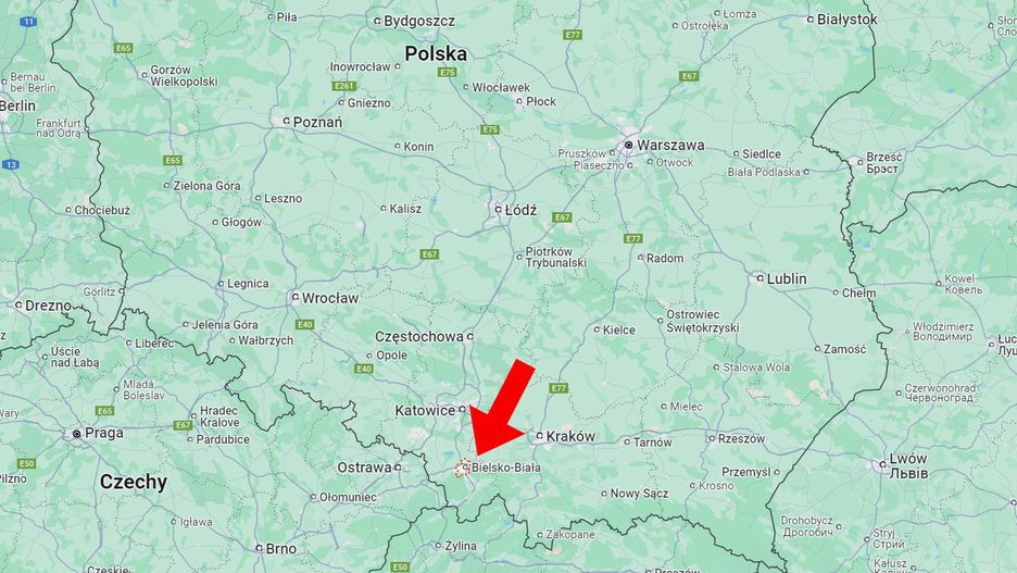 Pająk Nosferatu trafił do Polski