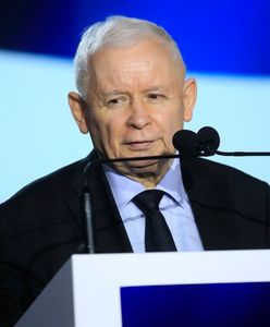 Kaczyński o "polexicie". Rzecznik PO alarmuje