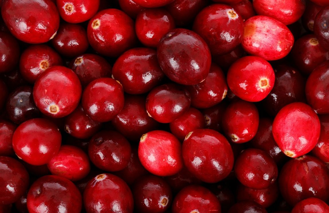 Żurawina zawiera szereg cennych witamin. 