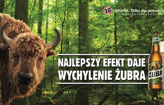 Wychylenie z najlepszym efektem reklamuje piwo Żubr (wideo)