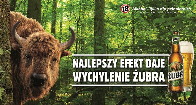 Wychylenie z najlepszym efektem reklamuje piwo Żubr (wideo)