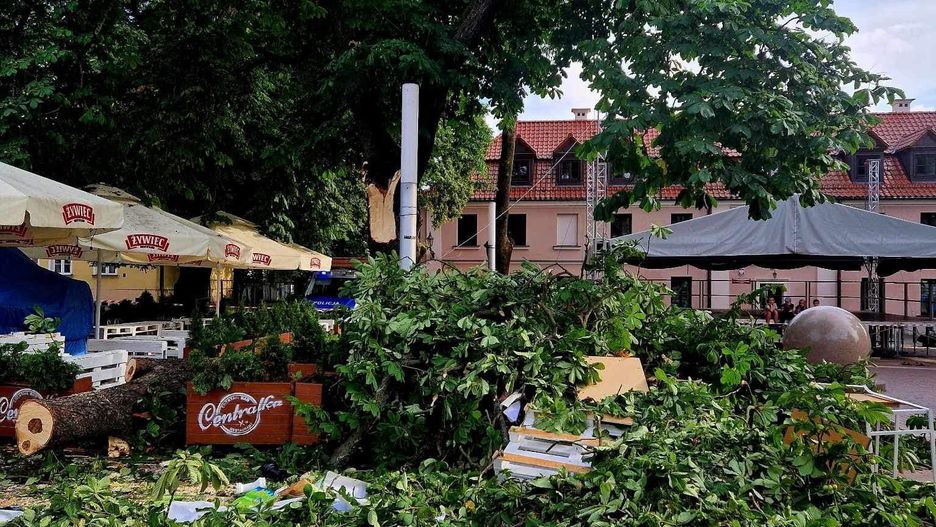 Konar spadł na namiot na rynku w Zamościu