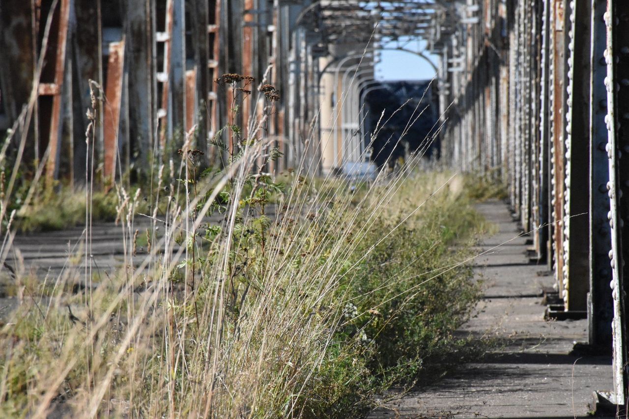 Tczew: Most Tczewski czeka na remont. Będzie przeprojektowany od strony Lisewa Malborskiego. Powiat wybrał wykonawcę