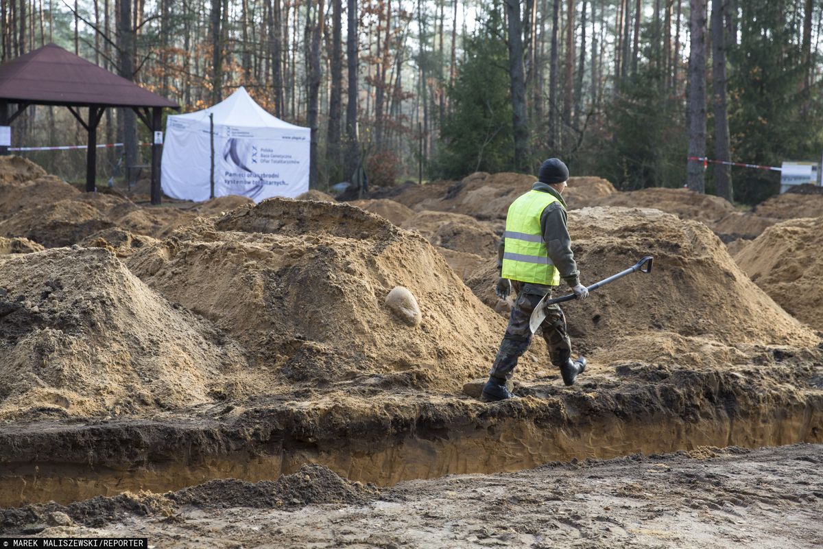 IPN odkrył szczątki ofiar nazistów w lesie pod Treblinką