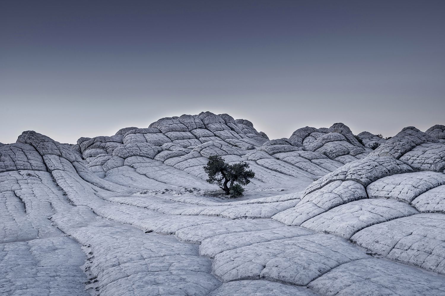 Pięcioro Polaków trafiło do finału Sony World Photography Awards 2017. Są też liczne wyróżnienia 18