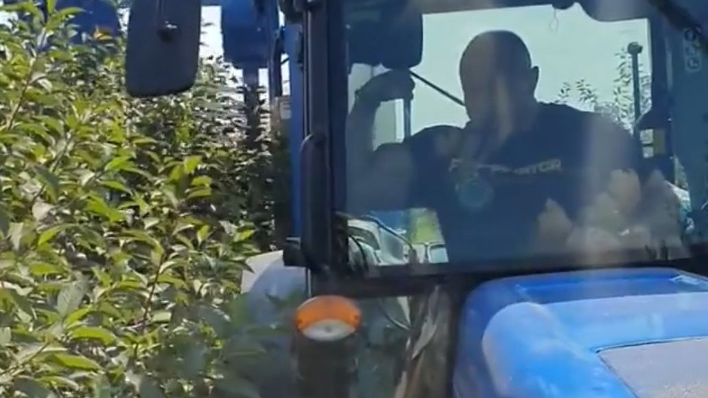 Mariusz Pudzianowski podczas mechanicznego zbioru wiśni