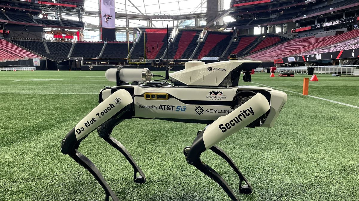 Benzie na swoich włościach. jego zadaniem jest monitorowanie blisko 45 tys. m kw. terenu.