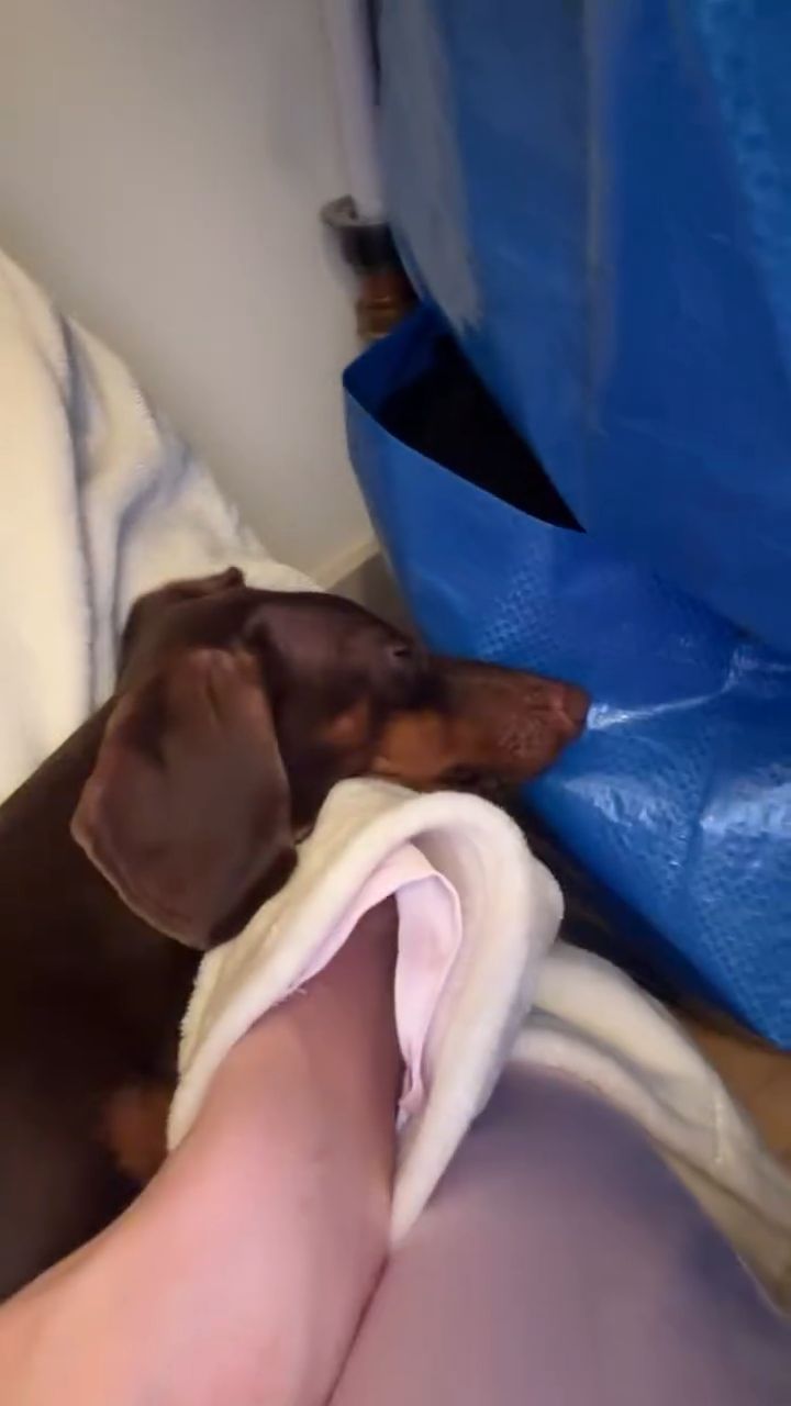 Michalina Zagórska pożegnała się z psem Akopa Szostaka