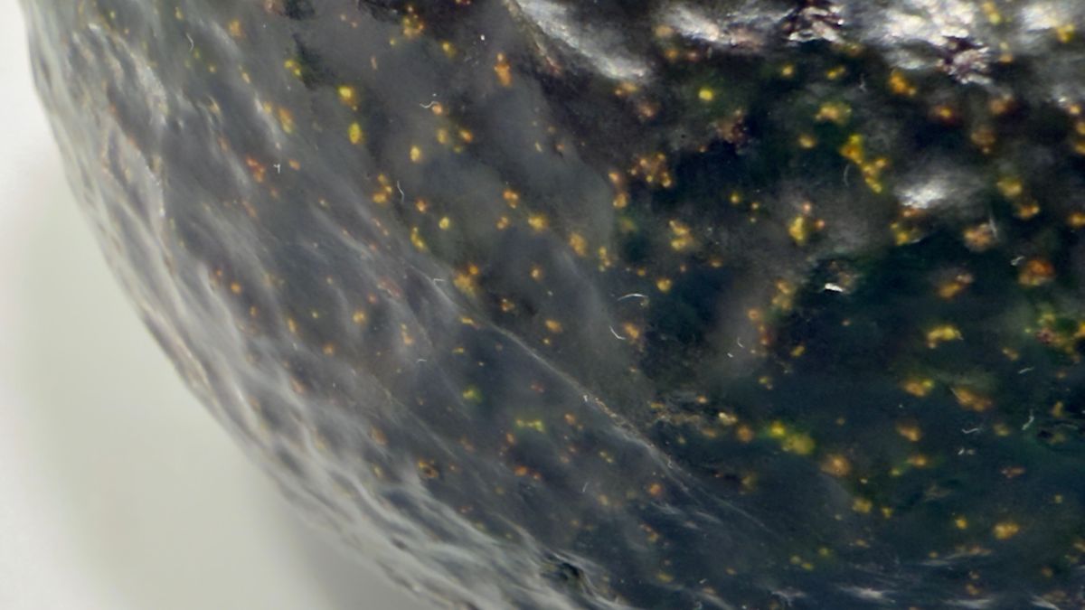 Awokado w makroobiektywie