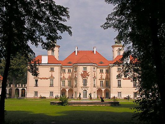 Obraz