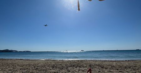 Nietypowa atrakcja na Ibizie. Dla jednych frajda, dla innych utrapienie